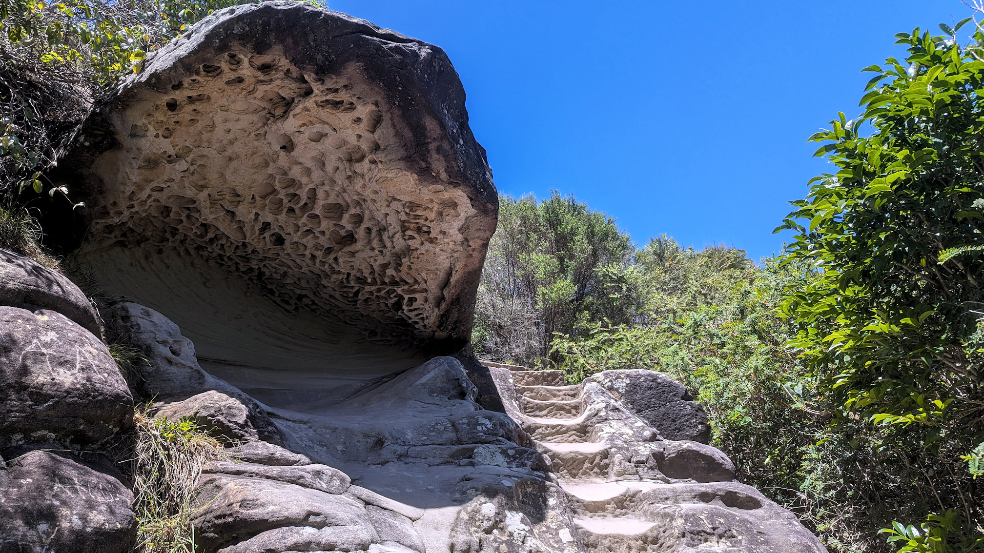 barrenjoey track (5)